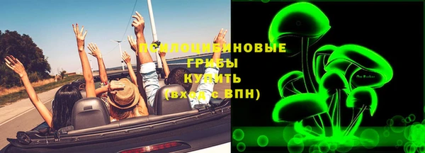 героин Богданович